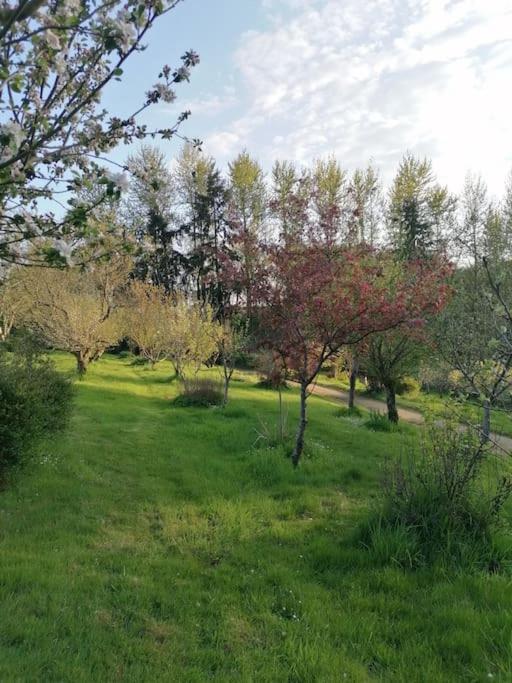 Chalet En Pleine Nature Au Bord D'Un Etang Lanvallay المظهر الخارجي الصورة