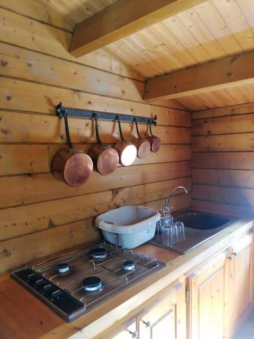 Chalet En Pleine Nature Au Bord D'Un Etang Lanvallay المظهر الخارجي الصورة