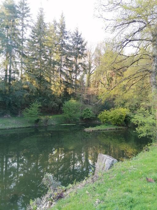 Chalet En Pleine Nature Au Bord D'Un Etang Lanvallay المظهر الخارجي الصورة