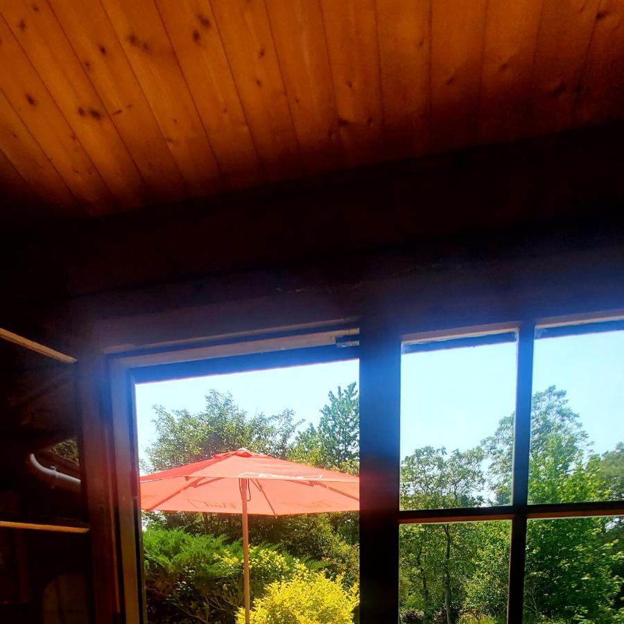 Chalet En Pleine Nature Au Bord D'Un Etang Lanvallay المظهر الخارجي الصورة